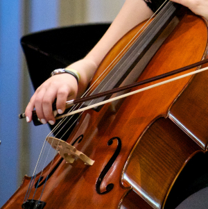 Cello.png